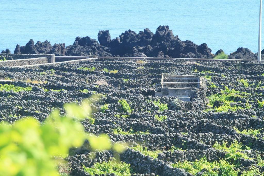 Vivenda Areias Διαμέρισμα Vila Nova  Εξωτερικό φωτογραφία